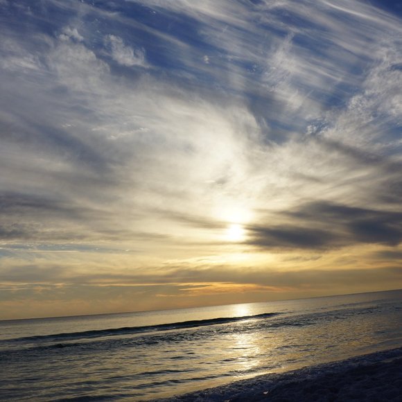 Meet your Posher, Lauren - Picture 3 of 3